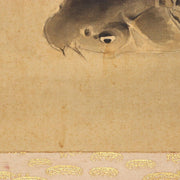 Japanese Kakejiku hanging scroll Carp Kawabe Kado Emakimono w / box ASO354