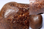 Japanese Suiseki Stone Bonsai Bonseki ornament Tamari Ishi SS195