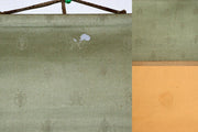 Japanese Kakejiku hanging scroll goldfish Emakimono Takakura Kangai ASO346