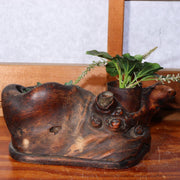 Japanese wooden Natural wood Tree roots vase Tobacco tray bon Ornament WO314