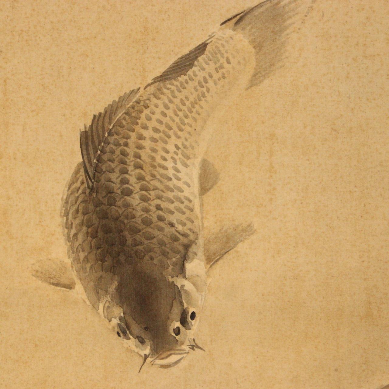 Japanese Kakejiku hanging scroll Carp Kawabe Kado Emakimono w / box ASO354