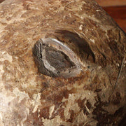 Authentic Chokwe Tribal Mask from the Congo Symbol of Ancestry and Tradition
