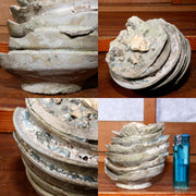 Antique Seto Yama Hai Chawan Object Pottery shards Ceramic Cup Japan PCP202