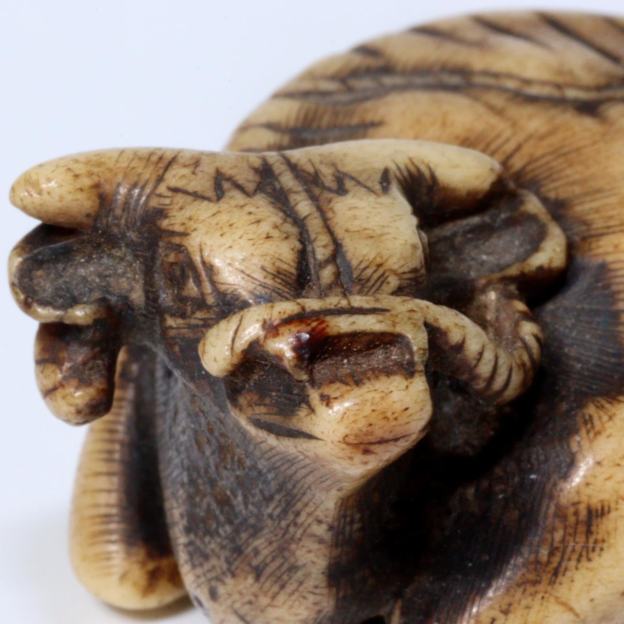 Japanese Antique Kazuno Netsuke Cow cattle Edo period NW263