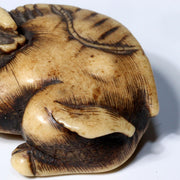 Japanese Antique Kazuno Netsuke Cow cattle Edo period NW263