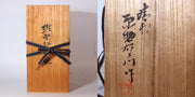 Japanese Bronze Flower Vase Hara Seiun Insect Signed Nitten Artist w / box BV549