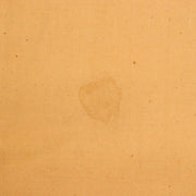 Japanese Kakejiku hanging scroll goldfish Emakimono Takakura Kangai ASO346