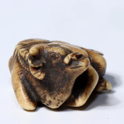 Japanese Antique Kazuno Netsuke Cow cattle Edo period NW263