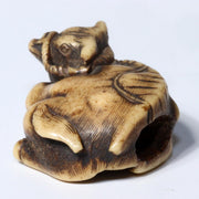 Japanese Antique Kazuno Netsuke Cow cattle Edo period NW263