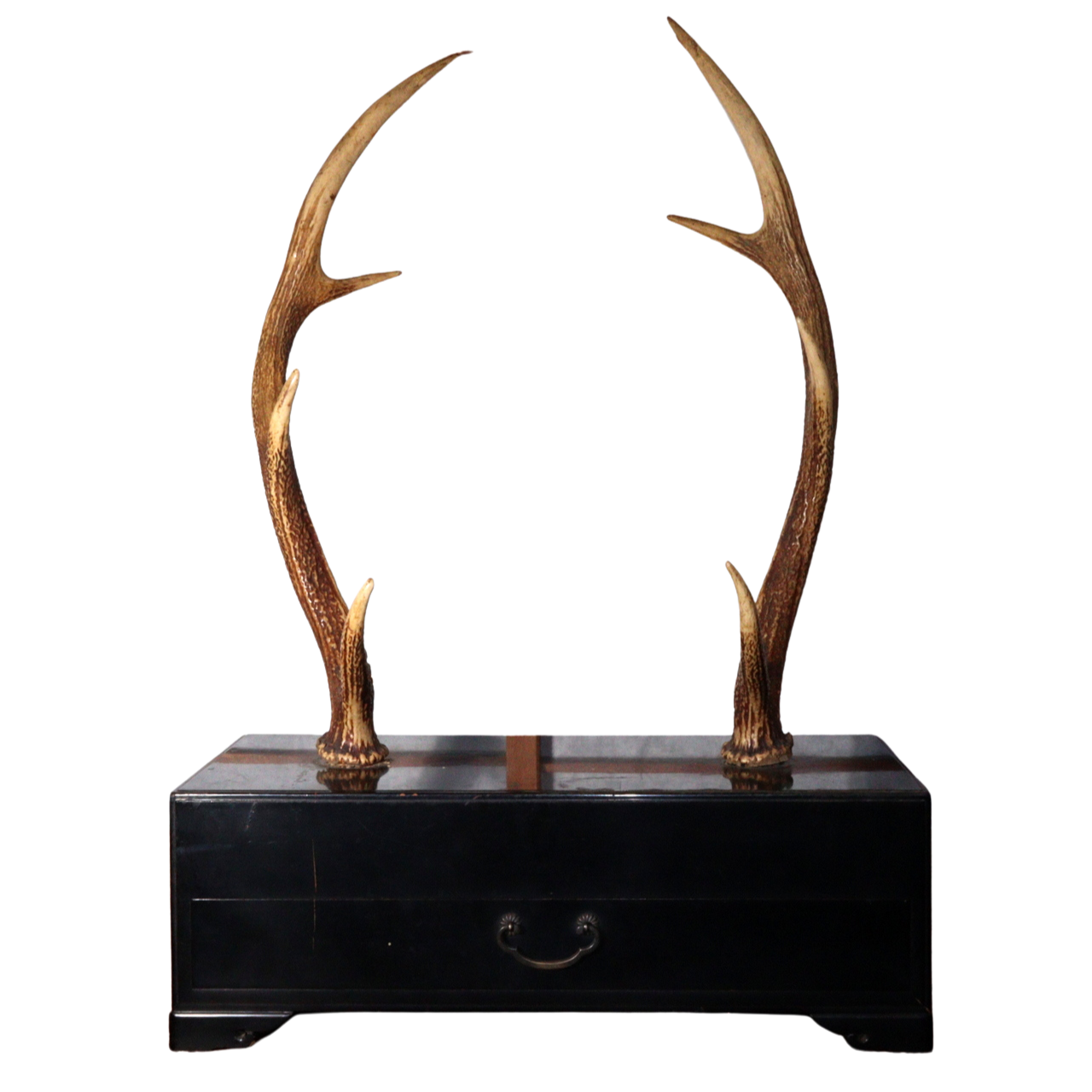 Japanese wooden Sword Rack Stand Deer antlers Kazuno Drawer Meiji era SWR348