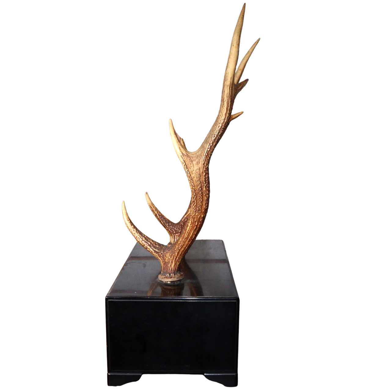 Japanese wooden Sword Rack Stand Deer antlers Kazuno Drawer Meiji era SWR348
