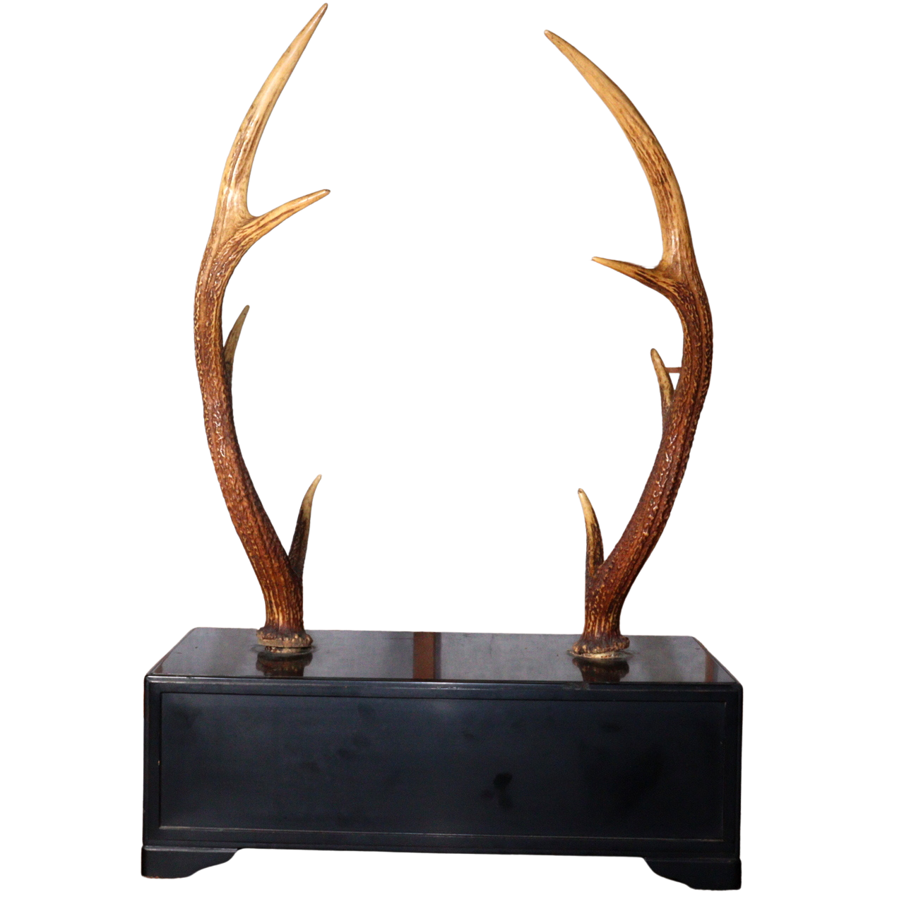 Japanese wooden Sword Rack Stand Deer antlers Kazuno Drawer Meiji era SWR348