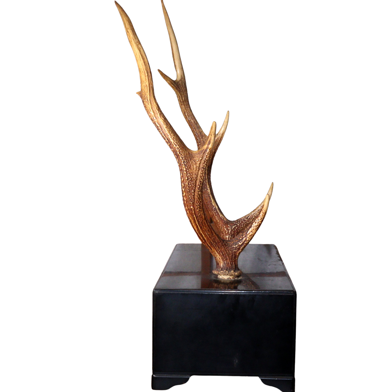Japanese wooden Sword Rack Stand Deer antlers Kazuno Drawer Meiji era SWR348