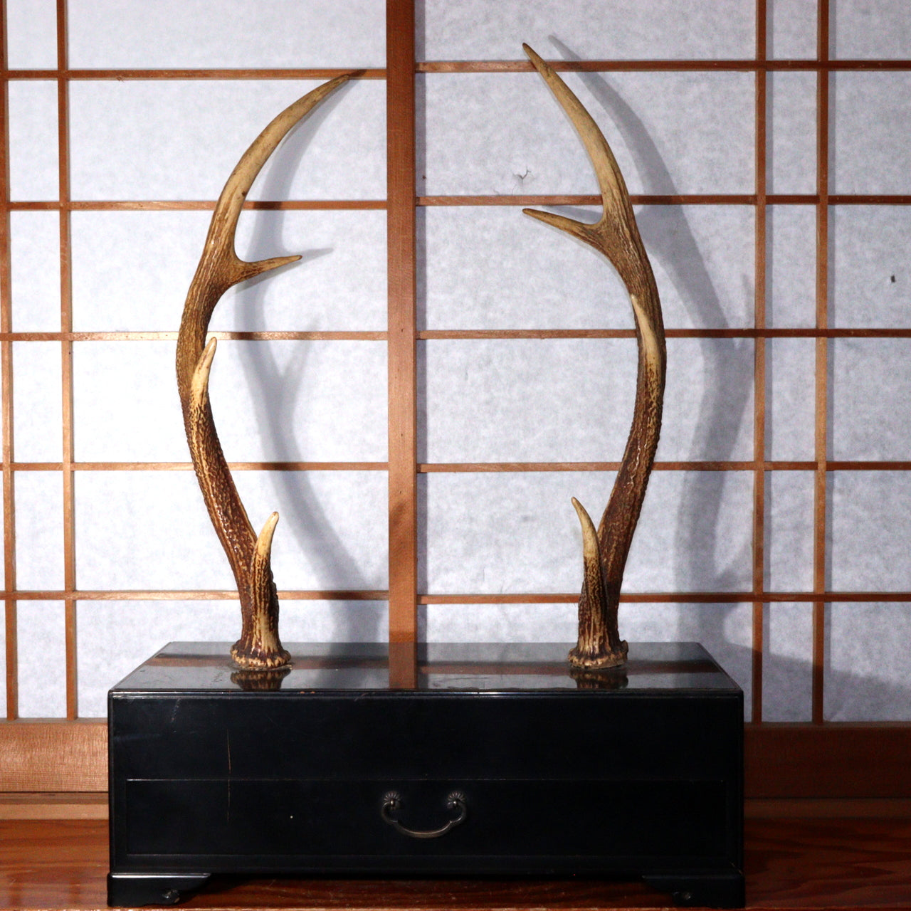 Japanese wooden Sword Rack Stand Deer antlers Kazuno Drawer Meiji era SWR348