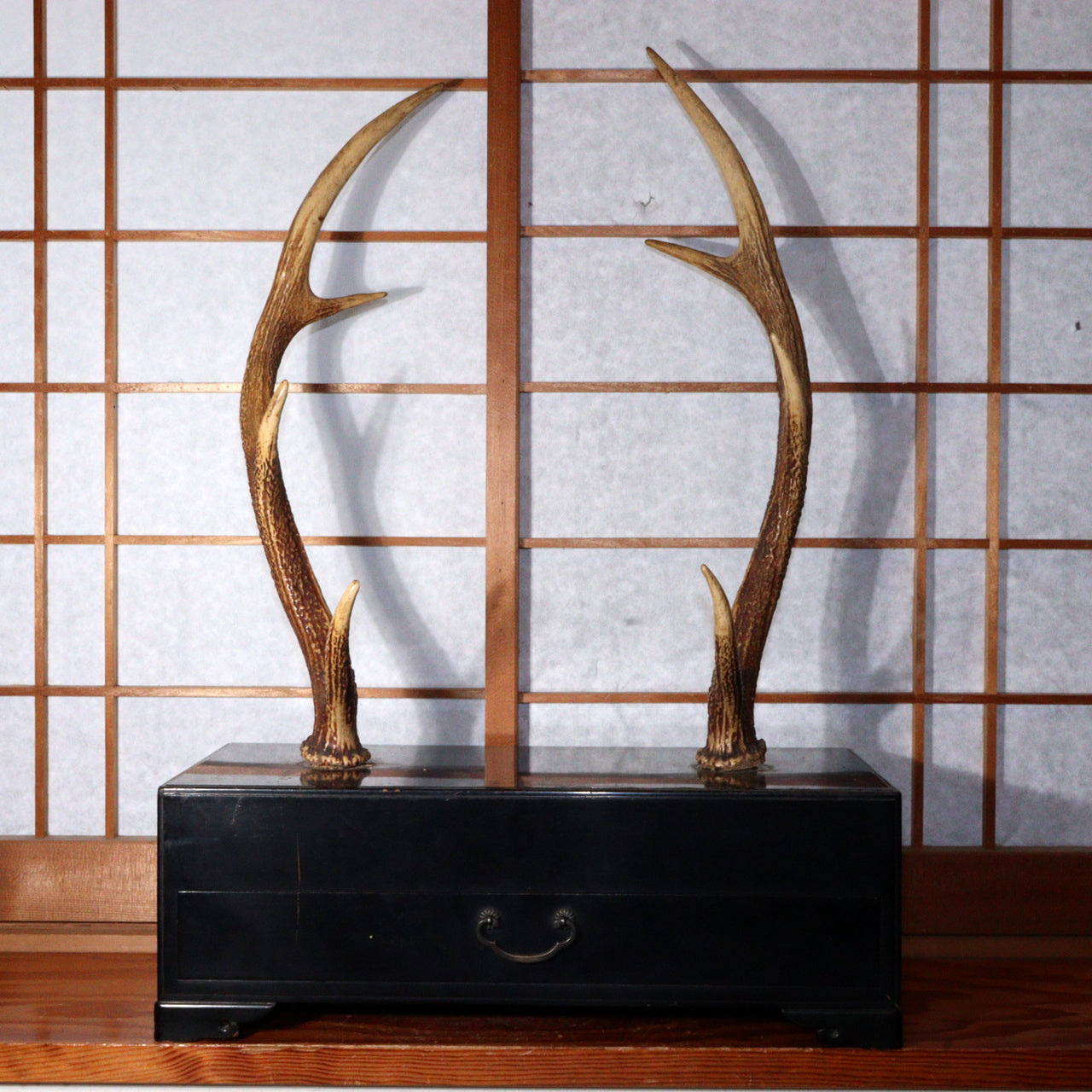 Japanese wooden Sword Rack Stand Deer antlers Kazuno Drawer Meiji era SWR348