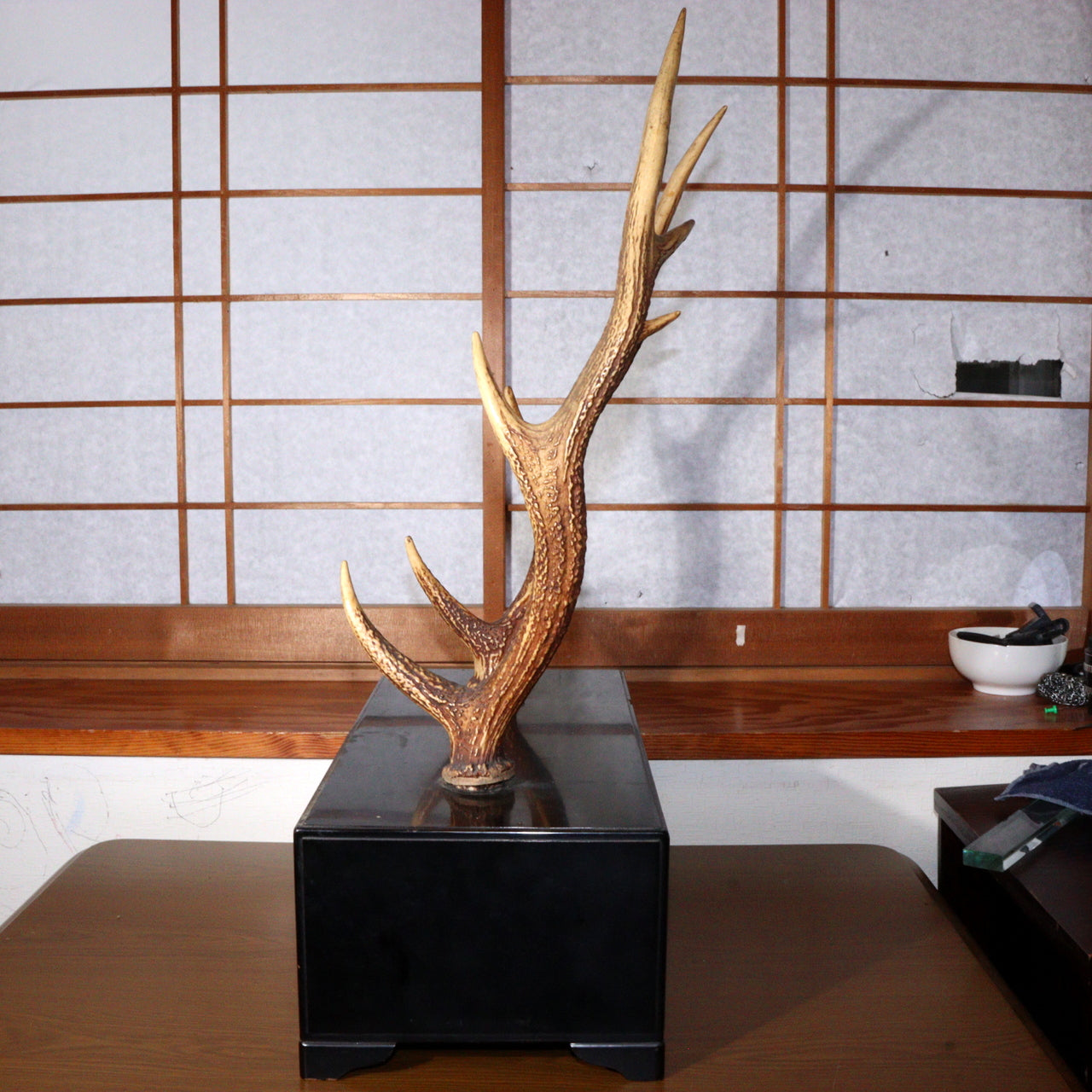 Japanese wooden Sword Rack Stand Deer antlers Kazuno Drawer Meiji era SWR348