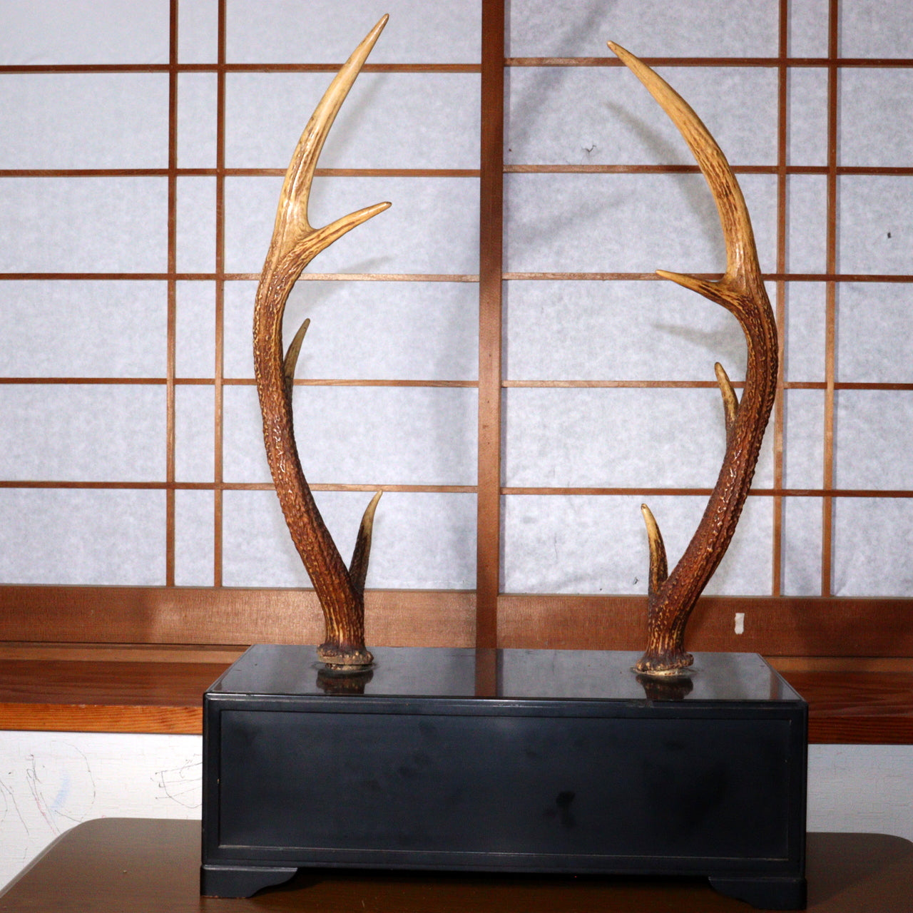 Japanese wooden Sword Rack Stand Deer antlers Kazuno Drawer Meiji era SWR348