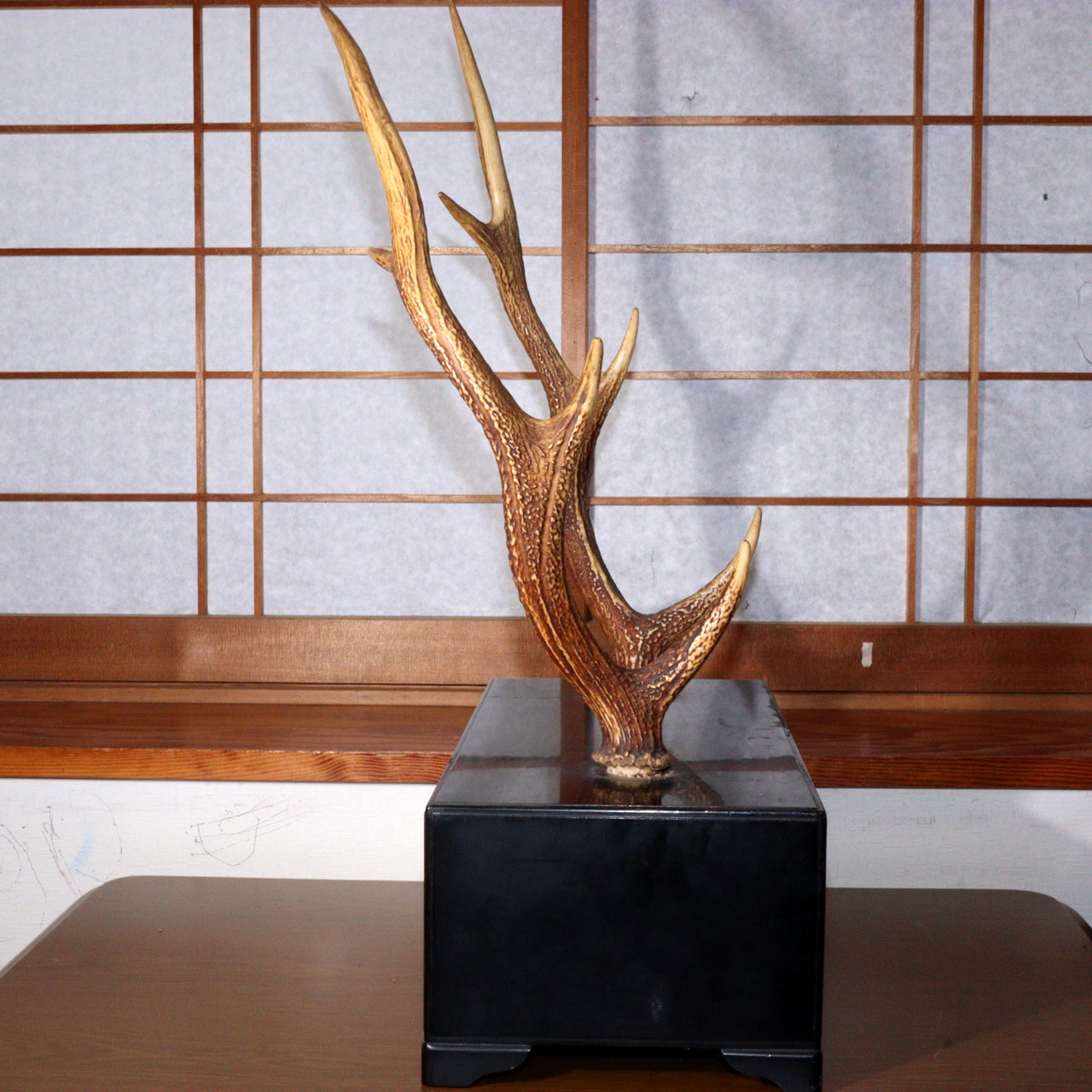 Japanese wooden Sword Rack Stand Deer antlers Kazuno Drawer Meiji era SWR348