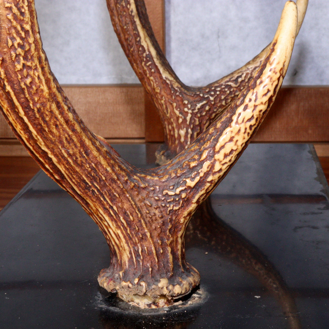 Japanese wooden Sword Rack Stand Deer antlers Kazuno Drawer Meiji era SWR348