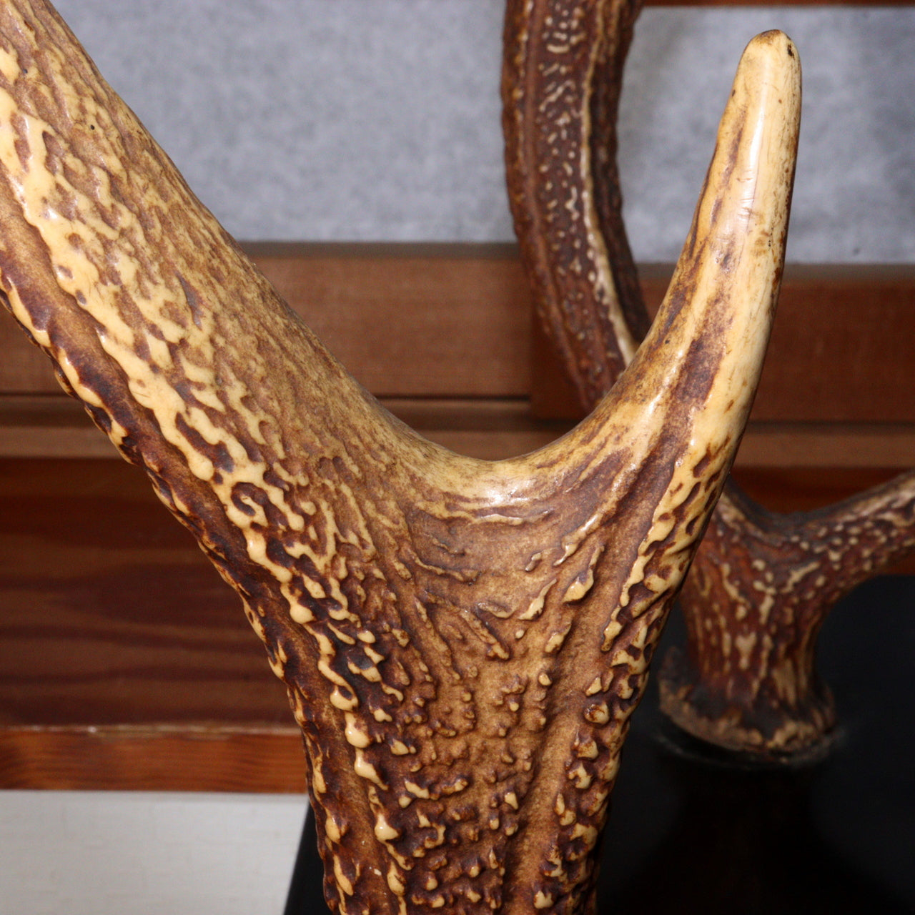 Japanese wooden Sword Rack Stand Deer antlers Kazuno Drawer Meiji era SWR348