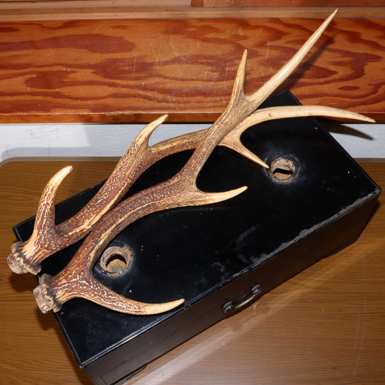 Japanese wooden Sword Rack Stand Deer antlers Kazuno Drawer Meiji era SWR348