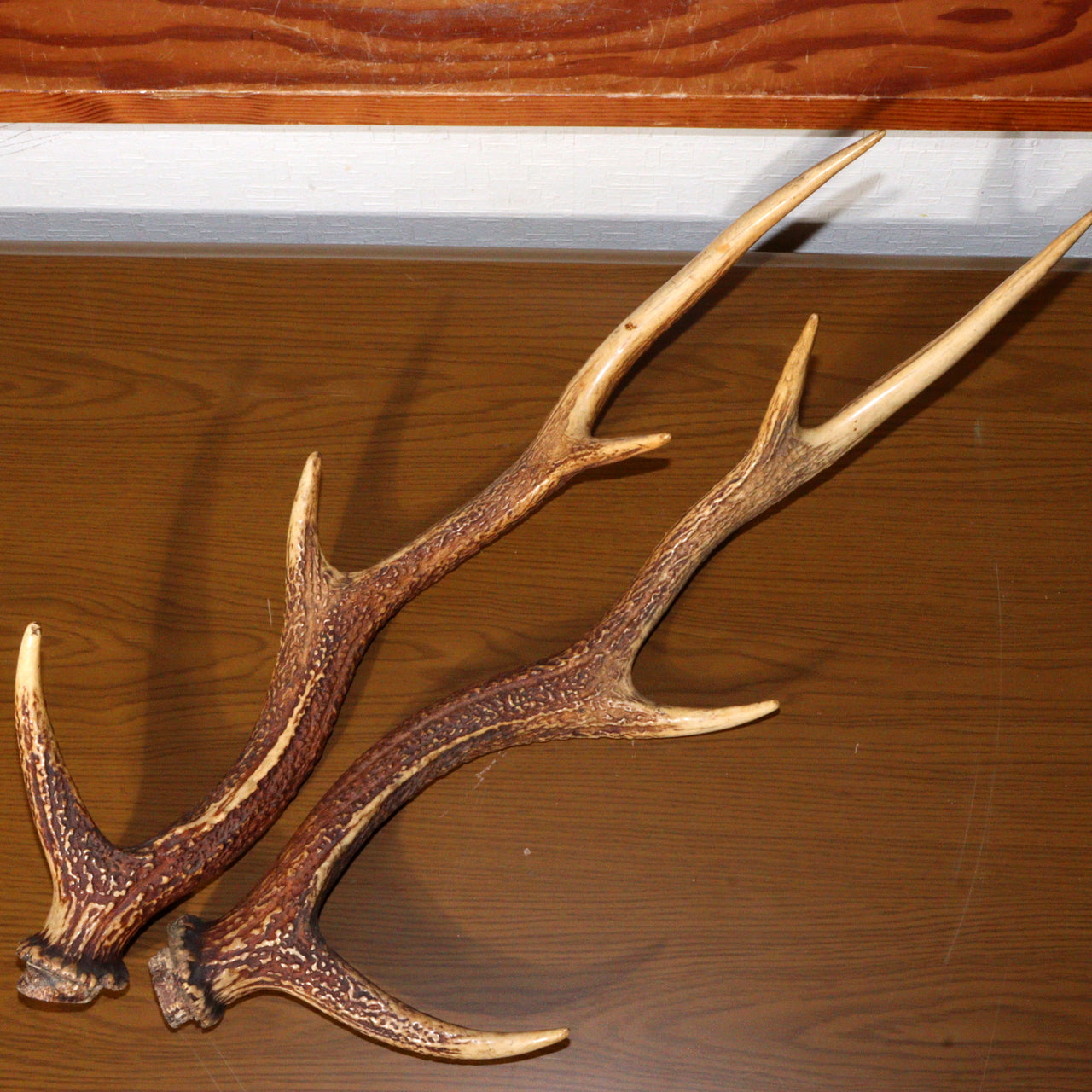 Japanese wooden Sword Rack Stand Deer antlers Kazuno Drawer Meiji era SWR348