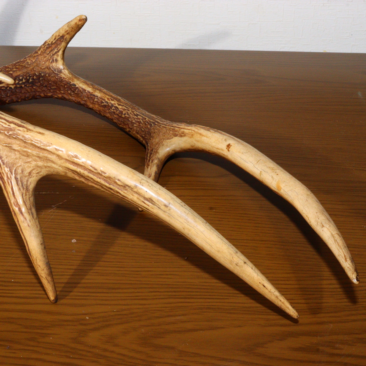 Japanese wooden Sword Rack Stand Deer antlers Kazuno Drawer Meiji era SWR348