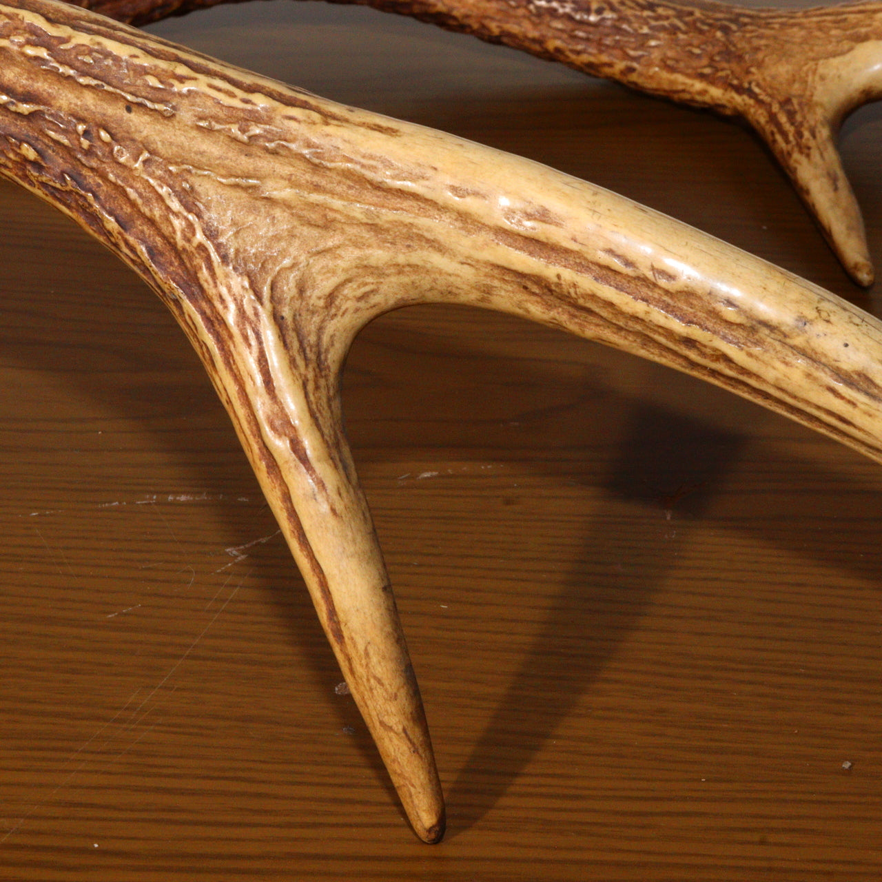 Japanese wooden Sword Rack Stand Deer antlers Kazuno Drawer Meiji era SWR348