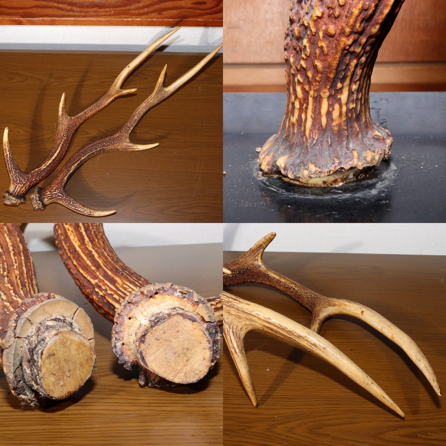 Japanese wooden Sword Rack Stand Deer antlers Kazuno Drawer Meiji era SWR348