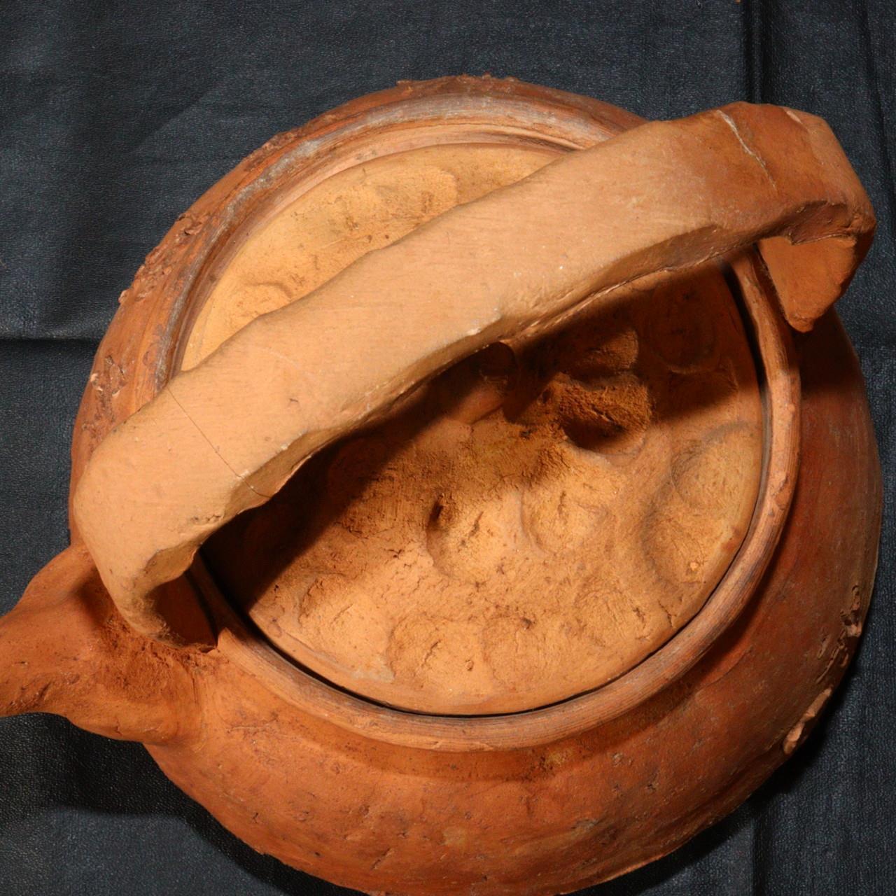 Japanese Teapot Waka poem Raccoon lid Pottery earthenware Bottle signed PV167