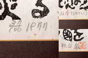 45119305
