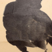 45157123