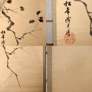45157123