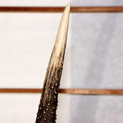 45179159