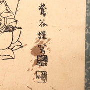 45272754