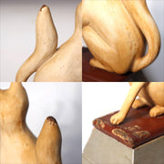 45317807