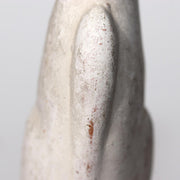 45301859
