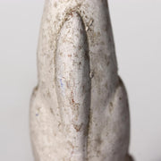 45301859