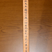 45361057