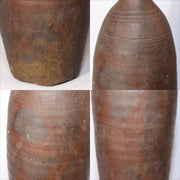 45361061