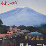 45361062