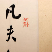45390499
