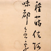 45390499
