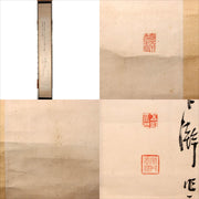 45390499