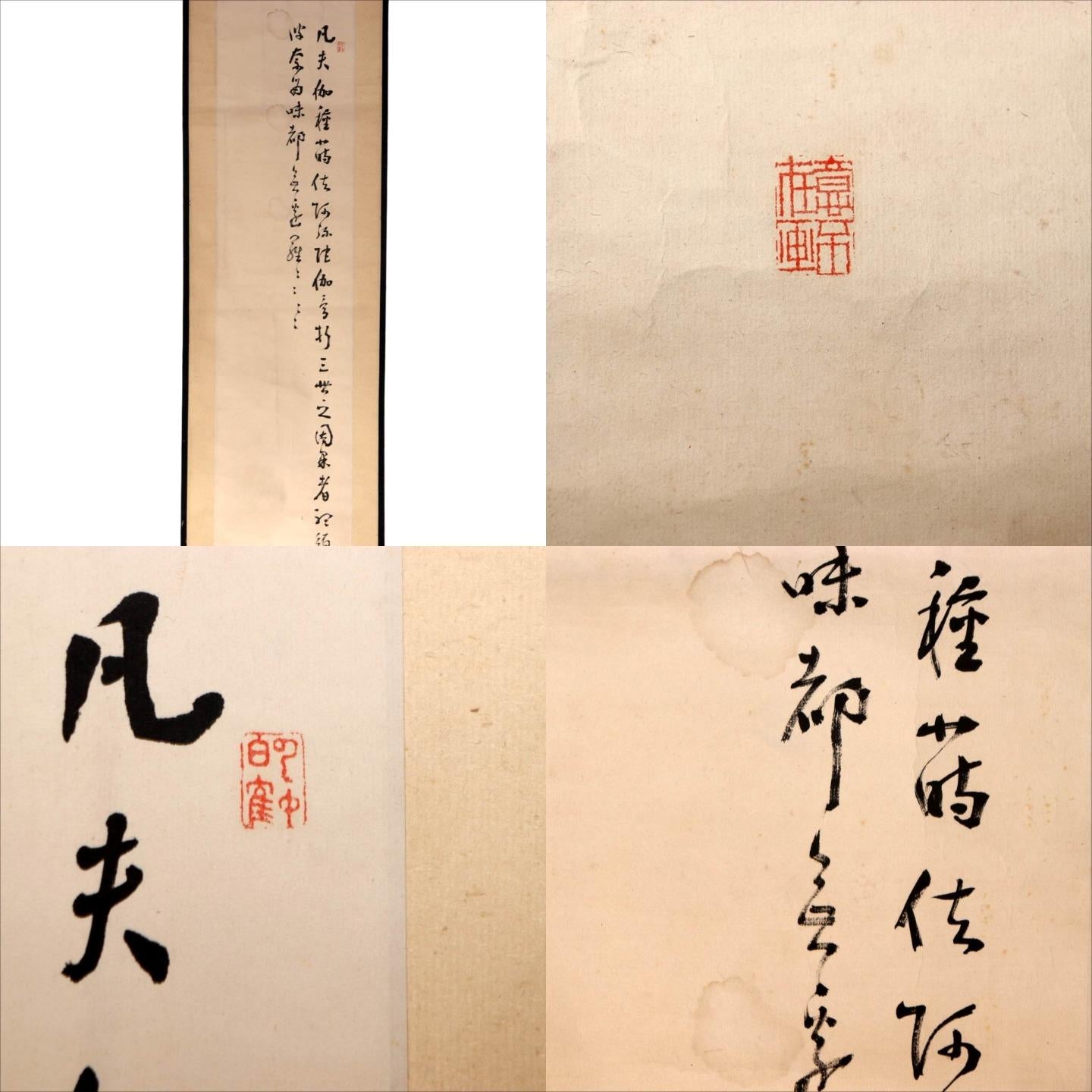45390499
