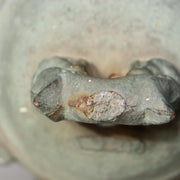 45390504