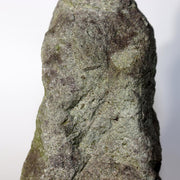 45630860