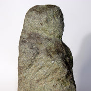 45630860