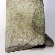 45630860