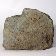 45630860